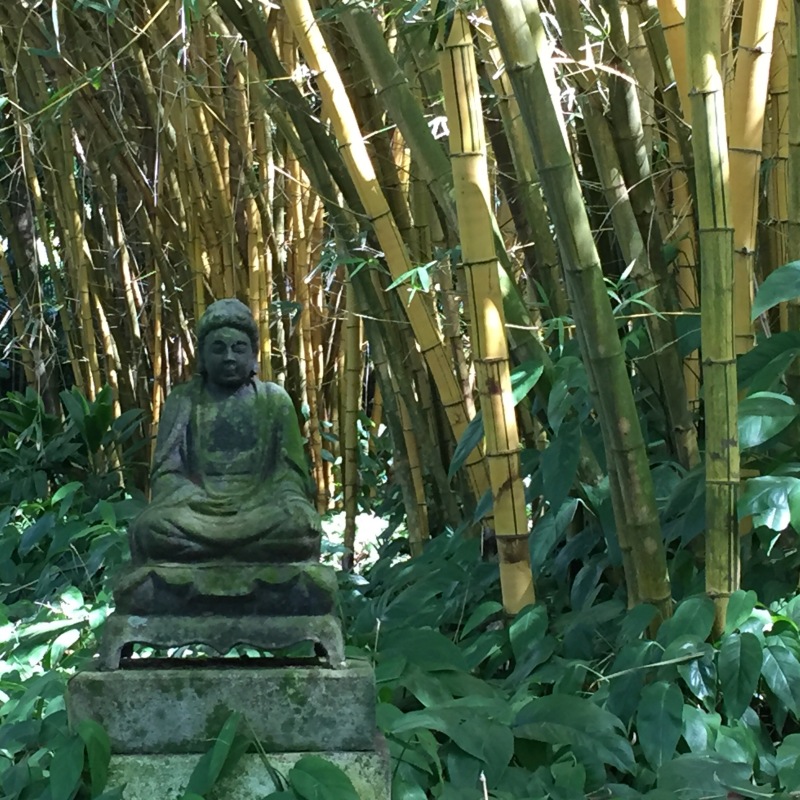 Ein Buddha mitten im Bambus im National Tropical Botanical Garden